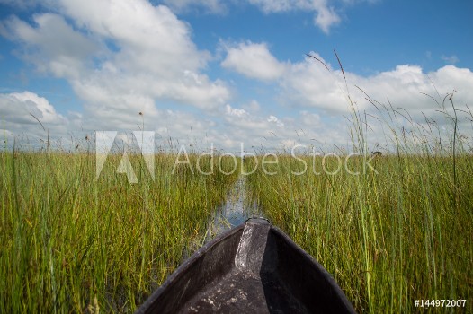 Bild på Mokoro Canoe Trip in the Okavango Delta near Maun Botswana